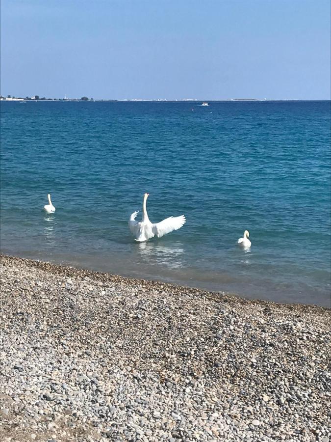 Hotel Bleu Riviera Καν-συρ-Μερ Εξωτερικό φωτογραφία